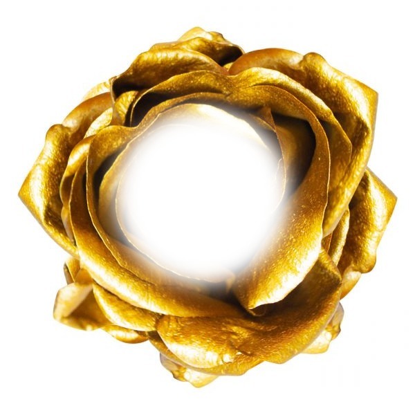 gold rose Fotomontaggio