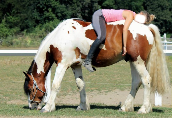 a cheval Fotomontaža