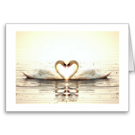 cisnes Photomontage