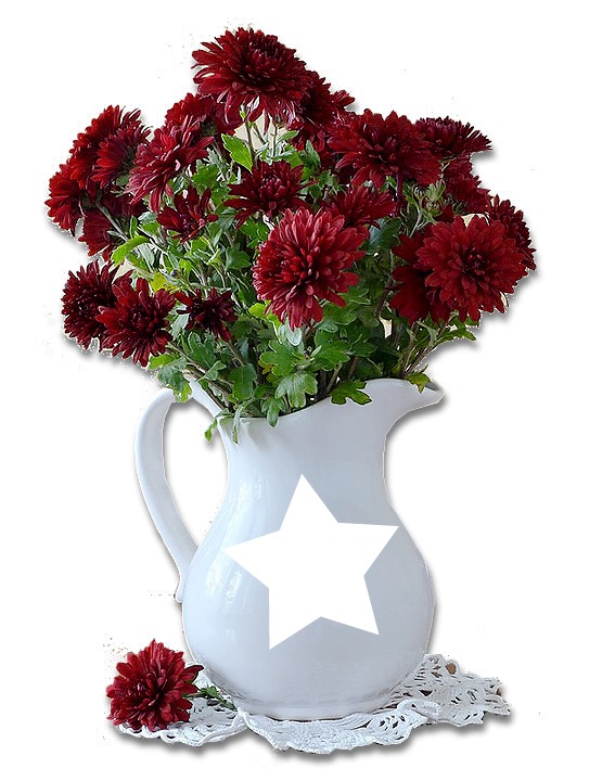 VASE Photo frame effect