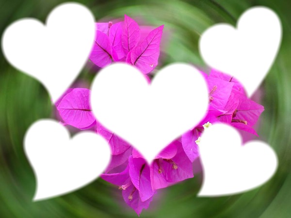 ♥♥♥ coeur et fleur ♥♥♥ フォトモンタージュ