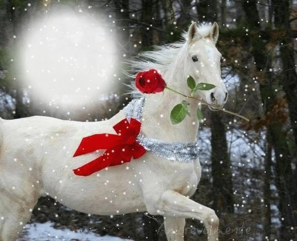cheval de neige Φωτομοντάζ