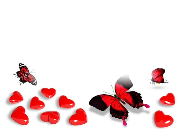 Mariposas hearts Montaje fotografico