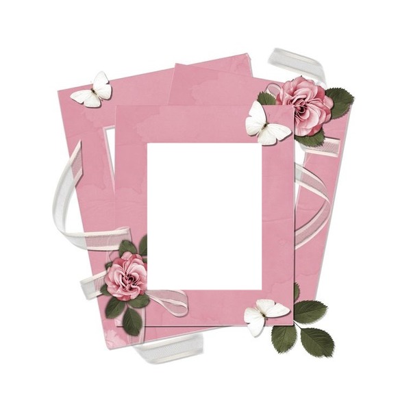 marco rosado, flores y mariposas. Montaje fotografico