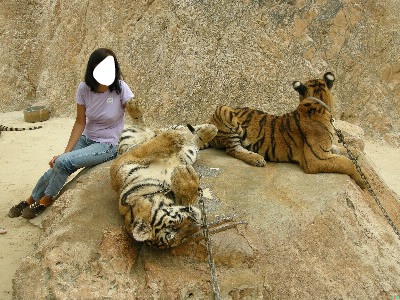 tigre Fotomontage