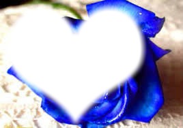 flor azulada Fotomontasje
