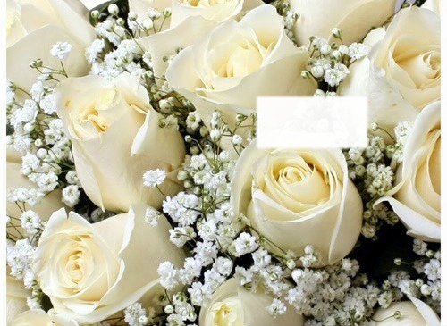 Cc blancas rosas Fotomontage