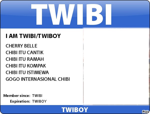 ID CARD TWIBI/TWIBOY Fotomontasje