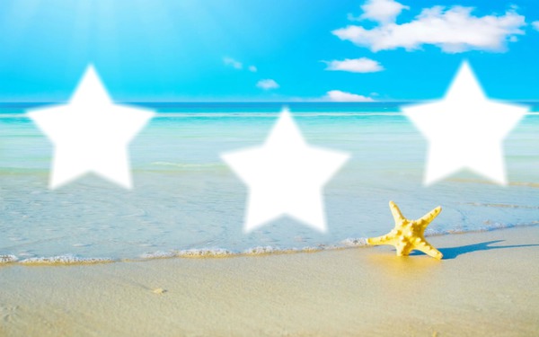 plage avec étoiles de mer Фотомонтаж