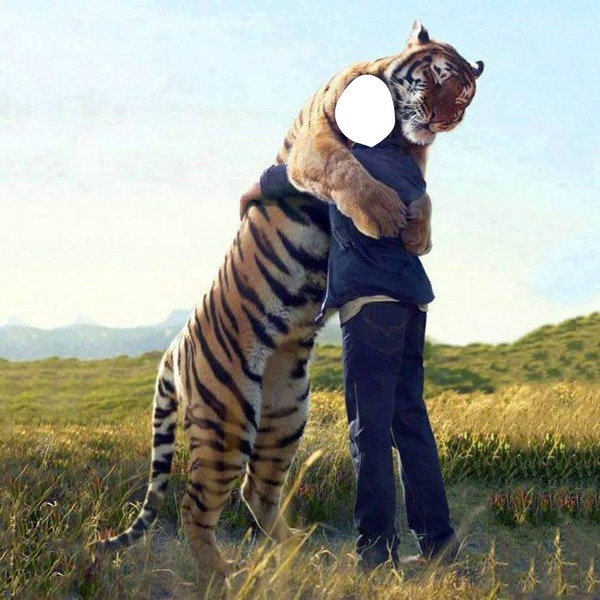 tigre +homme フォトモンタージュ