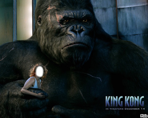 king kong & vous Montage photo