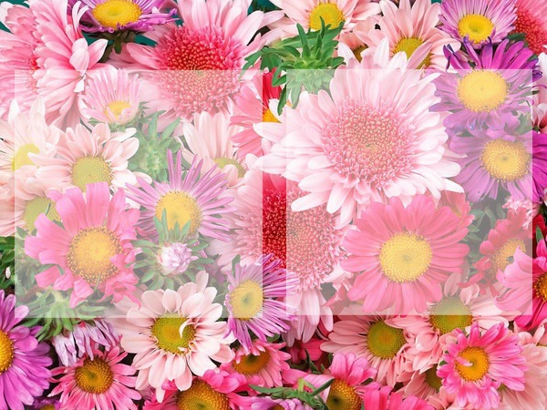 Fleur personnalisable Fotomontage