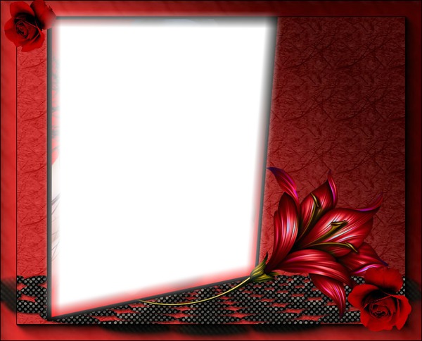 Opaline45 Photo frame effect