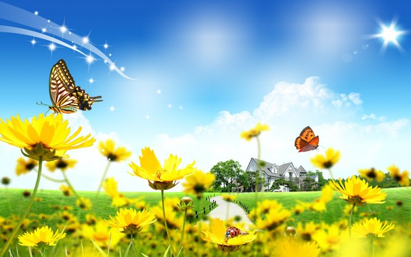 Butterfly Fields Fotomontasje