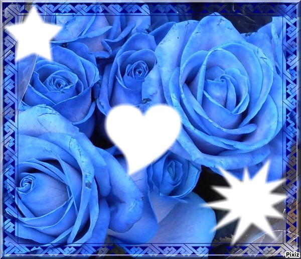 rose bleu 3 Valokuvamontaasi