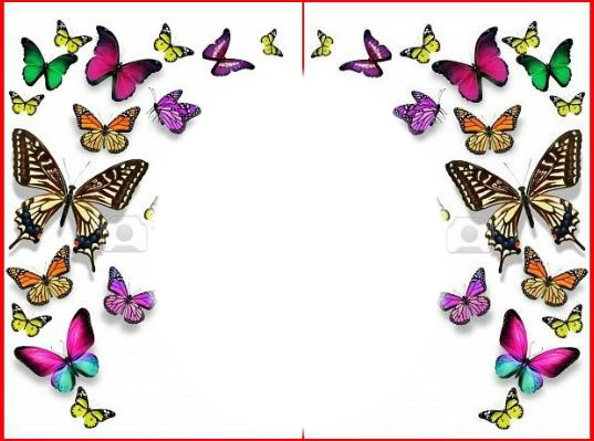 papillon c Fotomontaż