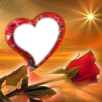 coeur rose rouge Фотомонтажа