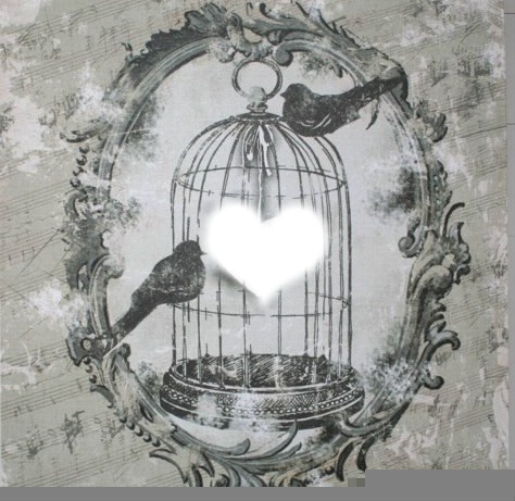 amour en cage Fotomontaż