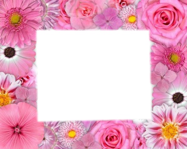 cadre fleuri Montaje fotografico