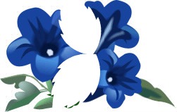 fleurs bleues Fotomontažas