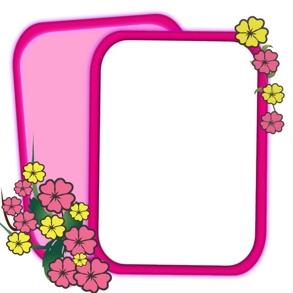 PINK AND FLOWERS Photo frame effect