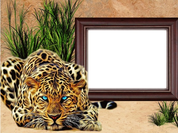 animal, leopard Fotomontaža