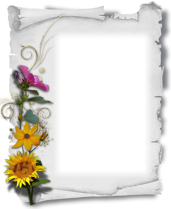 Parchemin blanc - fleurs multicolores Fotomontage