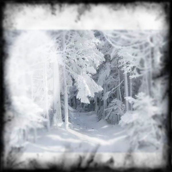 hiver Фотомонтаж
