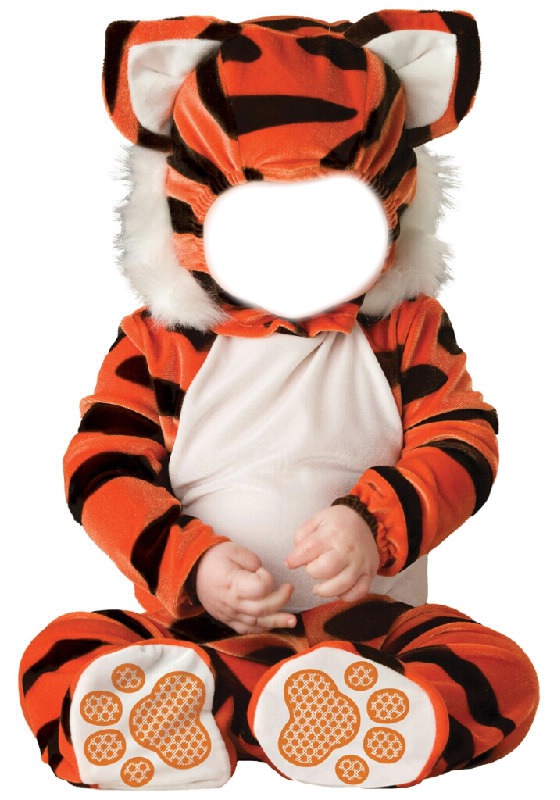 Tiger Photomontage