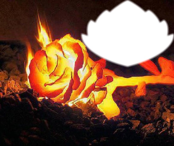 rose en feu Fotomontaż