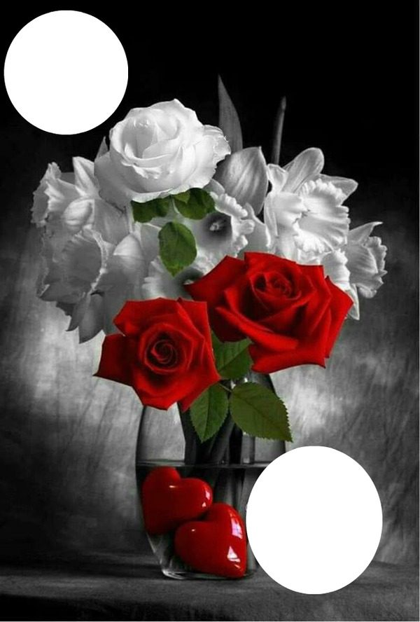 rose vase Photo frame effect
