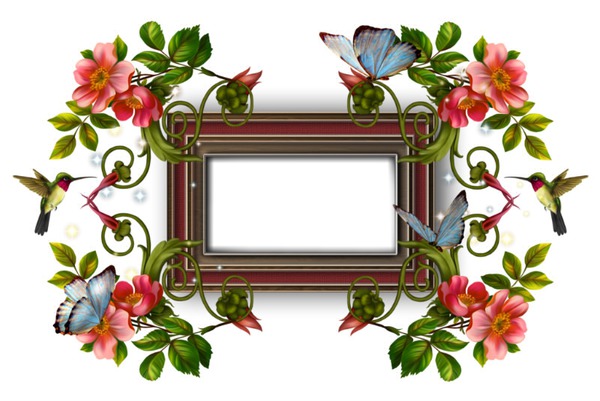 Flowers and Butterflies 2 Photo frame effect