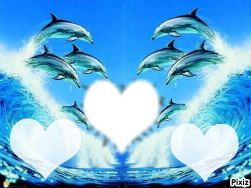 trois dauphin Photomontage