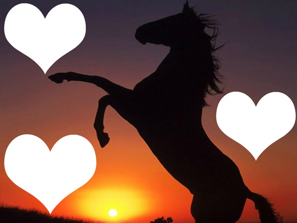 love cheval Fotomontasje