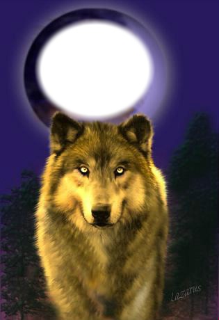 loup lune Fotomontáž