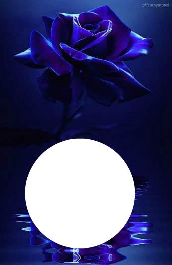 rose bleue Fotomontaža