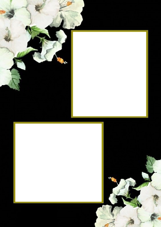 marco en fondo negro y flores blancas. Fotomontage