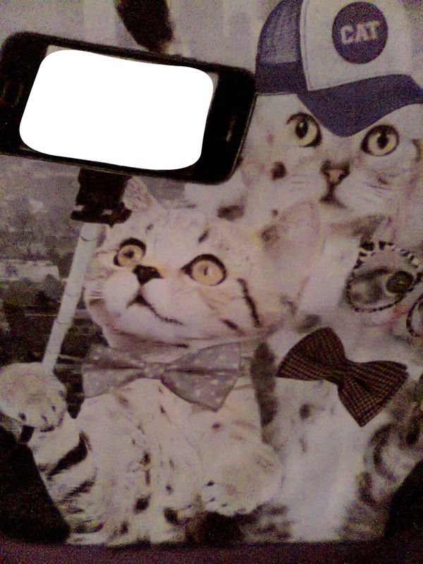 Selfie de gato Fotomontažas