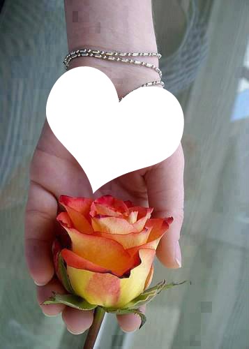 laly main coeur et rose Фотомонтаж