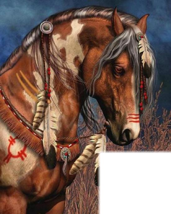 cheval indien Fotomontaż