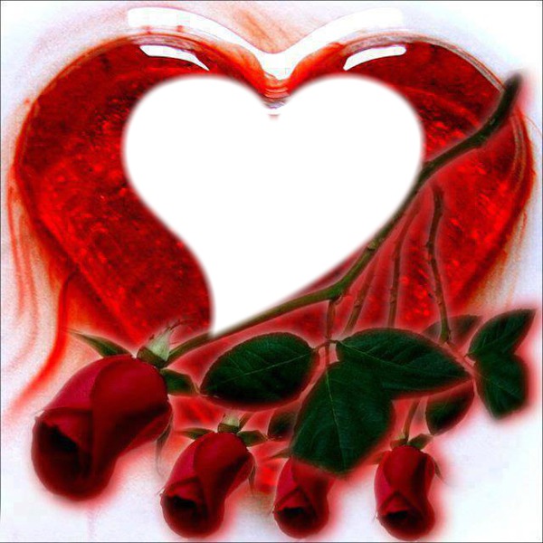 corazon de rosa Photo frame effect