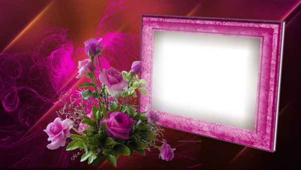 Cadre fleurs rose Photo frame effect