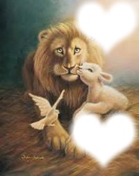 lion and lamb Photo frame effect
