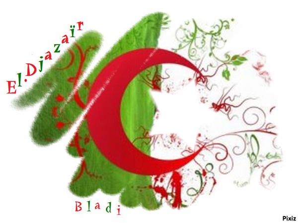 Algerian flag Photomontage