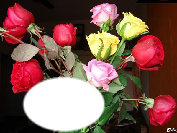 Quelques Roses* Photo frame effect