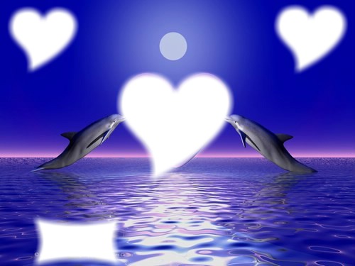 amour dauphin Valokuvamontaasi