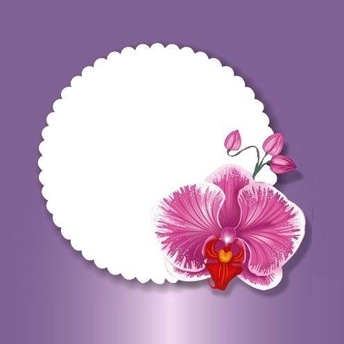 marco circular y flor fucsia, fondo lila. Fotomontaggio