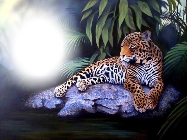 cheeta Φωτομοντάζ