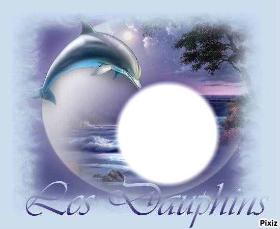 dauphin Photomontage