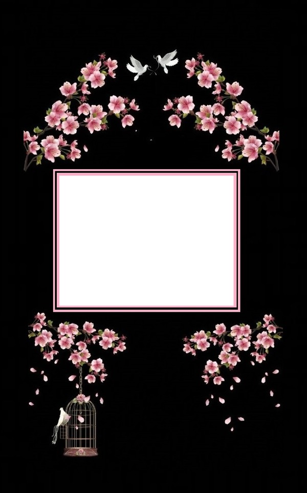 marco y flores rosadas en fondo negro. Fotomontagem